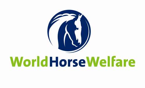 World Horse Welfare